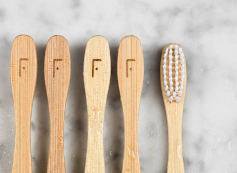 Pure Freshness Toothbrush | Freshly Cosmetics