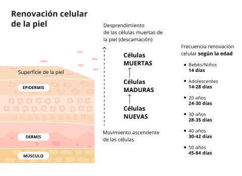 exfoliación quimica