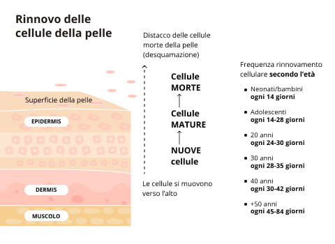 Siero Esfoliante Viso