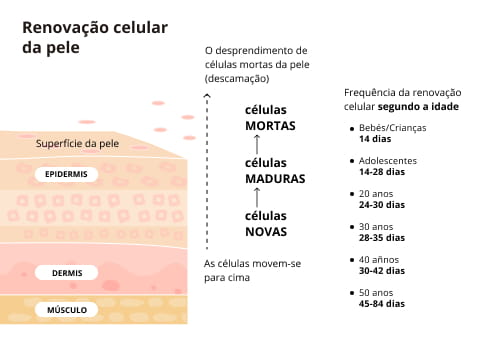 renovação celular da pele