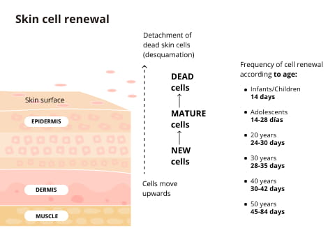 Aplicación Hair Growth