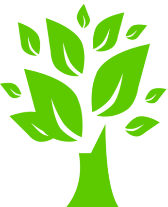 freshly tree