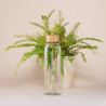 Reusable Glass Water Bottle | Freshly Cosmetics