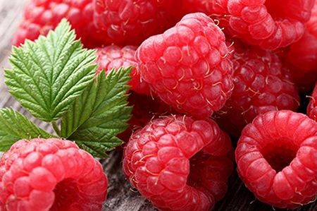 RASPBERRY SEEDS