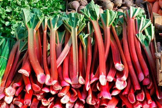 RHUBARB