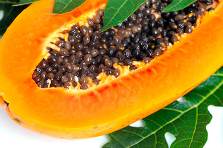 PAPAYA