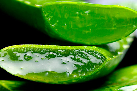 POLVERE DI ALOE VERA