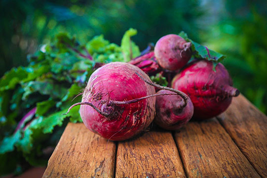 Remolacha en Polvo - Beet Powder – Cúrcuma®