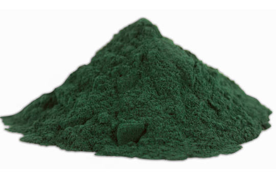 SPIRULINA PLATENSIS