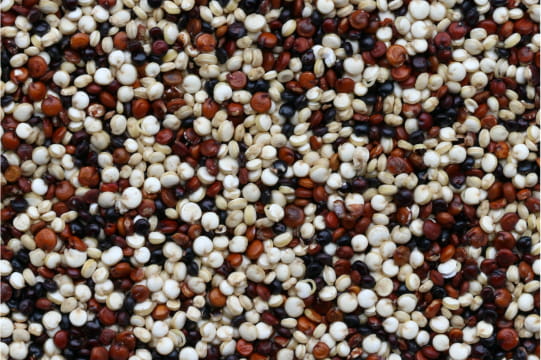 HYDROLYZED QUINOA