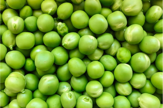 PROTÉINES DE POIS HYDROLYSÉES