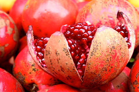 PULP OF THE POMEGRANATE