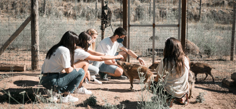 Conoce más Freshly, ¿en qué acciones y proyectos sociales participamos? Conoce más Freshly, ¿en qué acciones y proyectos sociales participamos?