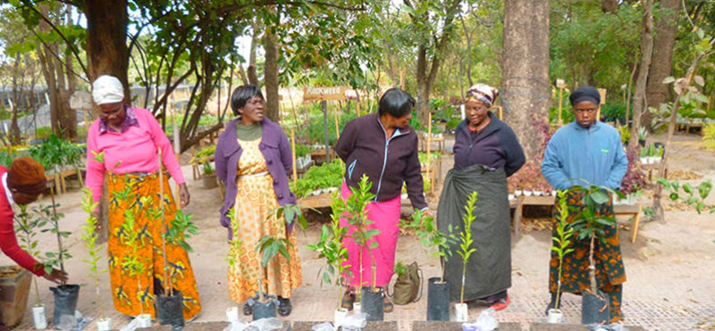 Planting is creating life: el reto de reforestación de Freshly y We Forest